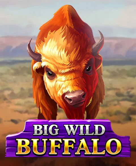 Play Big Wild Buffalo at Swanky Bingo Casino